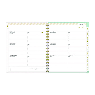 Blue Sky Day Designer Secret Garden Mint Frosted Weekly/Monthly Planner, Floral Artwork, 11 x 8.5, 12-Month (Jan to Dec): 2026 (140101)
