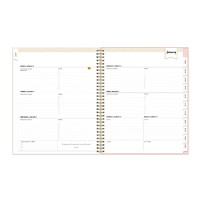 Blue Sky Day Designer Coming Up Roses Create-Your-Own Cover Weekly/Monthly Planner, Roses Artwork, 11 x 8.5, 12-Month (Jan-Dec): 2026 (140092)