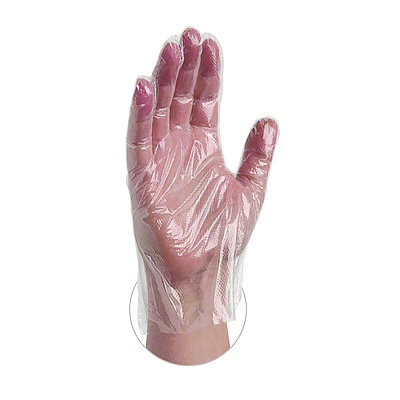 X3 by AMMEX Poly Food Safe Industrial Gloves, Large, Clear, 500/Box (AXCPGLOVEL500)
