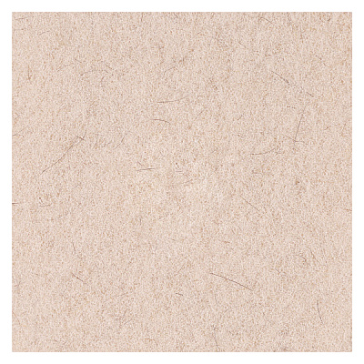 Boardwalk Natural Hog Hair Burnishing Floor Pads, 17" Diameter, Tan, 5/Carton (BWK4017NHE)
