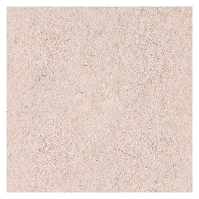 Boardwalk Natural Hog Hair Burnishing Floor Pads, 19" Diameter, Tan, 5/carton (BWK4019NHE)