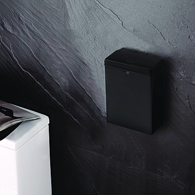 Alpine Stainless Steel Wall-Mounted Sanitary Napkin Receptacle, Black (ALHALP451SSBBLK)