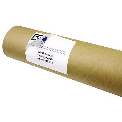 Avery Shipping Labels with TrueBlock Technology, Inkjet/Laser Printers, 4 x 3, White, 2/Sheet, 20 Sheets/Pack (AVE05286)
