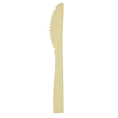 Dixie Bamboo Cutlery, Knife, Light Golden, 100/Pack, 10 Packs/Carton (DXEANKBAM)