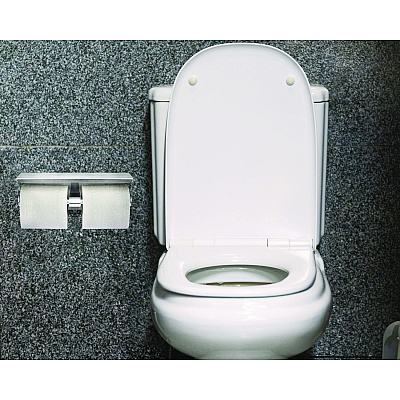 Alpine Double Post Toilet Paper Holder with Shelf Storage Rack, 3.87 x 10.5 x 3.95, Brushed Stainless Steel (ALHALP487B)