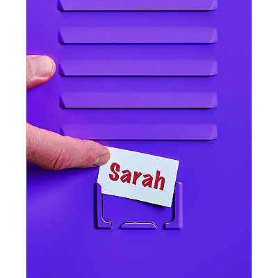AdirOffice Steel Storage Locker, 1 Compartment, 15 x 15 x 48, Purple (ALHI62901PUR)