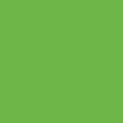 Rust-Oleum Specialty Fluorescent Spray Paint, Flat Fluorescent Green, 11oz Aerosol Can (342417EA)