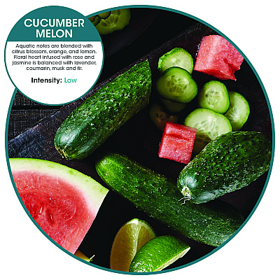 Fresh Products Myfresh Refills, Cucumber Melon, 6 refills (FRSMYF36CMBX)