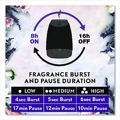Air Wick Essential Mist Starter Kit, Lavender and Almond Blossom, 0.67 oz Bottle (6233802034)