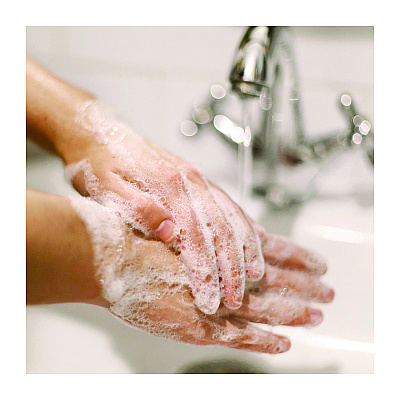 Dial Professional Basics Liquid Hand Soap, Fresh Floral Scent, 7.5 oz Pump Bottle (DIA06028)