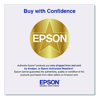 Epson C13S210148 Air Filters for SureColor V1070