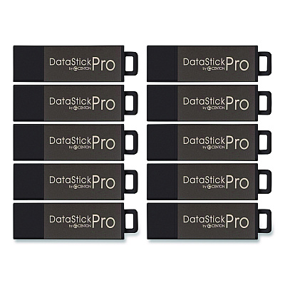 Centon DataStick Pro USB 2.0 Type A Flash Drive, 32 GB, Gray, 10/Pack (106619)