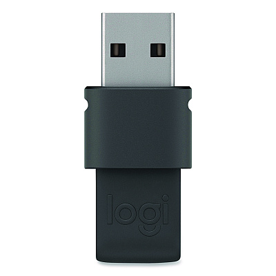 Logitech Spotlight Presentation Remote, Projects 100 ft, Slate (2632837)