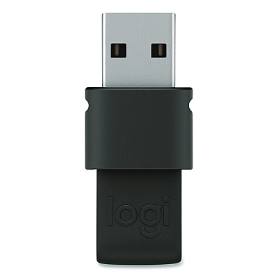Logitech Spotlight Presentation Remote, Projects 100 ft, Slate (2632837)