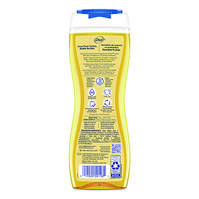 Dial Body Wash Advanced Clean Gold, Original Gold, 16 oz, 6/Carton (09119)