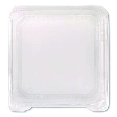 Karat Polypropylene Plastic Hinged Container, 6 x 6 x 3.3, Clear, Plastic, 50/Pack, 6 Packs/Carton (FPHC66PP1C)
