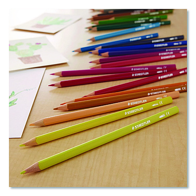 Staedtler Watercolor Pencils, Assorted Lead and Barrel Colors, 24/Set (1271C24A6)