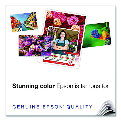 Epson C13T736200 Maintenance Kit