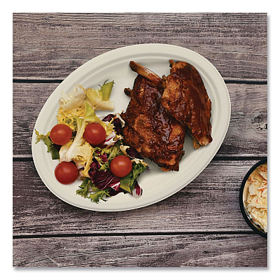 Dart Compostable Molded Fiber Dinnerware, ProPlanet Seal, Platter, 10" Diameter, Natural, 500/Carton (10FBRPLR1)
