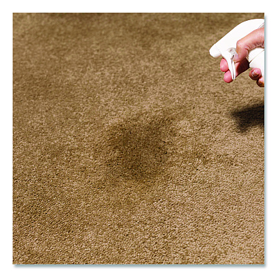 Rust-Oleum Professional Carpet Stain Remover Plus Deodorizer, Lemon Scent, 32 oz Spray Bottle, 6/Carton (352258)