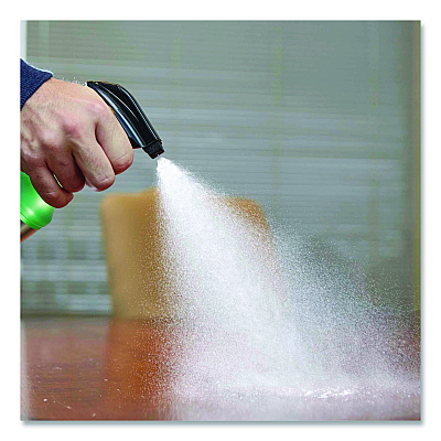 Rust-Oleum Professional General Purpose Cleaner, 32 oz Spray Bottle, 6/Carton (352264)