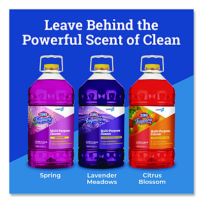 CloroxPro Fraganzia Multi-Purpose Cleaner, Spring Scent, 175 oz Bottle, 3/Carton (31524CT)