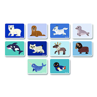 Janod Magneti'books, Polar Animals, Grades Pre-K to 3, 30 Pieces (J02599)