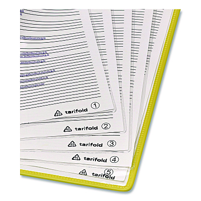 Tarifold Foldfive Pockets, 25 Sections, Clear Panel Assorted Color Border, 5/Pack (P095F)