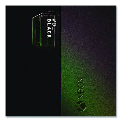 Western Digital C50 Storage Expansion Card for Xbox, 1 TB (WDBMPH0010BN)