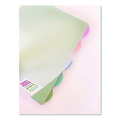 Carolina Pad Noted Five-Subject Spiral Notebook, Medium/College Rule, Randomly Assorted Cover Color, (150) 11 x 8.5 Sheets (17514)