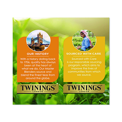 TWININGS Black Tea Variety Pack, Assorted Flavors, 20/Box (TNA05320)