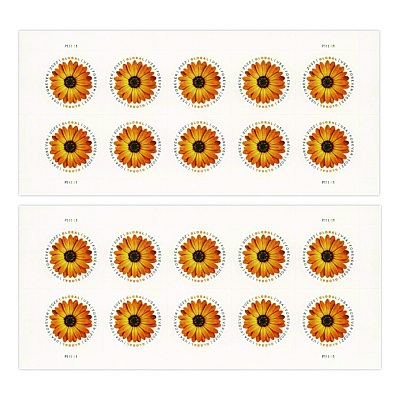 United States Postal Service Global Forever Stamps, Floral, 10 Stamps/Sheet, 2 Sheets/Pack (USPS4EVGLOB)