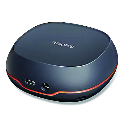 Sandisk USB 3.2 External Solid State Drive, 4 GB, Black (SSDT404T00NA)