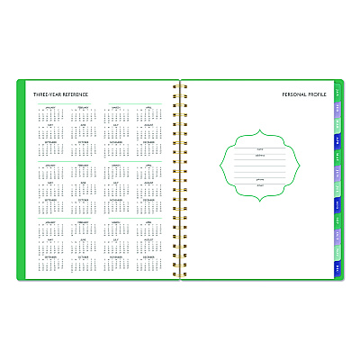 AT-A-GLANCE Badge Geo Weekly/Monthly Planner, 11 x 8.5, Green Cover, 13-Month (Jan-Jan): 2026 (1753G905)