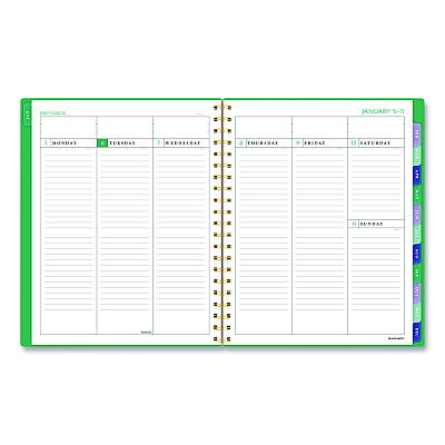 AT-A-GLANCE Badge Geo Weekly/Monthly Planner, 11 x 8.5, Green Cover, 13-Month (Jan-Jan): 2026 (1753G905)