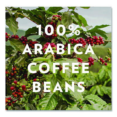 Community Coffee Cafe Special, 2.5 oz Packet, 40/Carton (CCI15104)