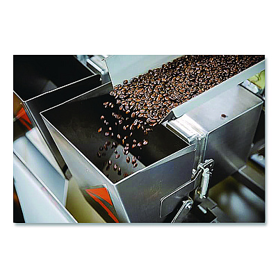 Performance Food Group Madalyn's Backyard Pecan Whole-Bean Coffee, 24 oz Bag (ICF73111)