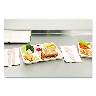 Pactiv Evergreen Compostable Fiber Blend School Lunch Tray, 10 x 8 x 1, White, 240/Carton (MC58000SBB)