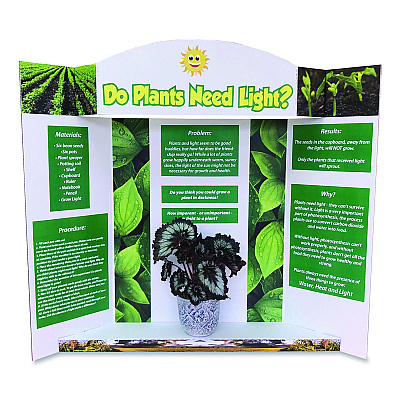 Royal Brites Stage It Display Board, 37" x 44", 1-Ply, Corrugate, White, 5/Pack (27146)