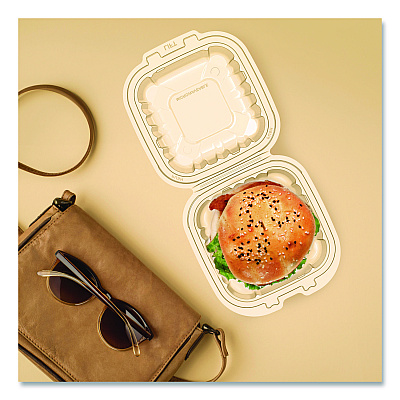 Dart Microwaveable Hinged Containers, ProPlanet, 6.31 x 6.31 x 3, Clear, Plastic, 300/Carton (60PPHT1)