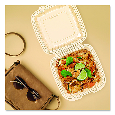Dart Microwaveable Hinged Containers, ProPlanet, 9 x 8.75 x 3, Clear, Plastic 150/Carton (90PPHT1)