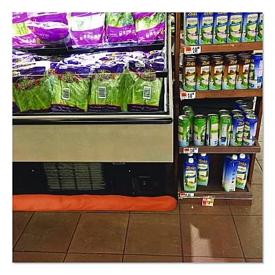 Quick Dam Indoor Bucket Kit, (1) Bucket, (10) 10 ft Water Dams (WUGG1010)