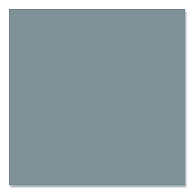 Rust-Oleum Painter's Touch 2X Ultra Cover Spray Paint, Flat Gray, 12 oz Aerosol Can, 6/Carton (334017)