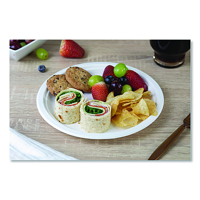 SCT ChampWare Molded Fiber Tableware, Molded Fiber Plate, 9" dia, White, 125 Plates/Sleeve, 4 Sleeves/Carton (18140WPF)