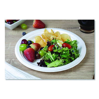 SCT ChampWare Molded Fiber Tableware, Molded Fiber Plate, 10" dia, White, 125 Plates/Sleeve, 4 Sleeves/Carton (18160WPF)