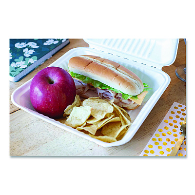 SCT ChampWare Molded-Fiber Clamshell Containers, 9 x 9 x 3, White, 100/Sleeve, 2 Sleeves/Carton (18935WPF)