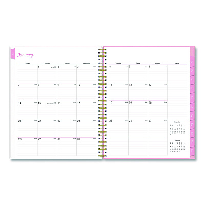 Blue Sky Mimi Pink Weekly/Monthly Planner, Floral Artwork, 11 x 8.5, Pink/Blue/Rose Cover, 12-Month (Jan to Dec): 2026 (137264)