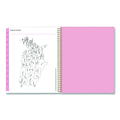 Blue Sky Mimi Pink Weekly/Monthly Planner, Floral Artwork, 11 x 8.5, Pink/Blue/Rose Cover, 12-Month (Jan to Dec): 2026 (137264)