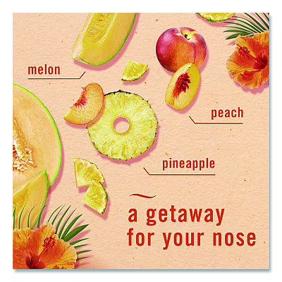 Febreze AIR, Hawaiian Aloha, 8.8 oz Aerosol Spray, 2/Pack (17342PK)
