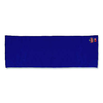 ergodyne Chill-Its 6606FR FR Cooling Towel, Modacrylic Knit, One Size Fits Most, Blue (12437)